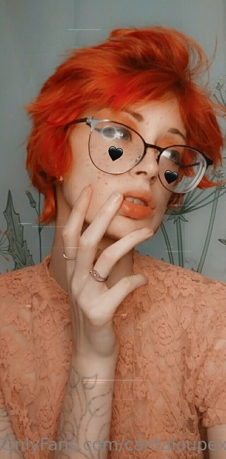 cantaloupexo top star gallery