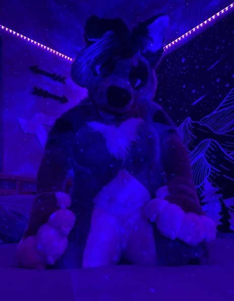 crownmutt star pornographic photos