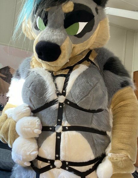 crownmutt pornographic star img