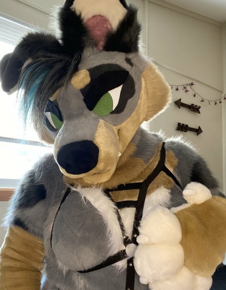 crownmutt star top images