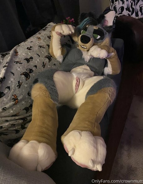 crownmutt pornstar sex photo