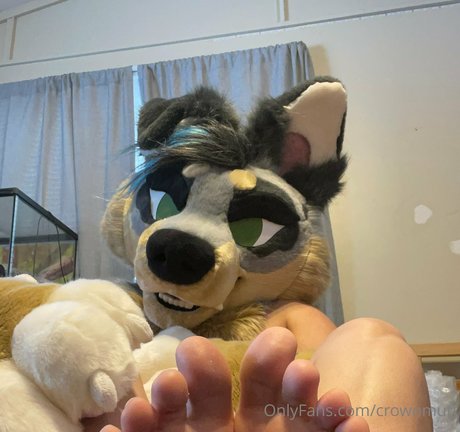 crownmutt beautiful pornstar galleries