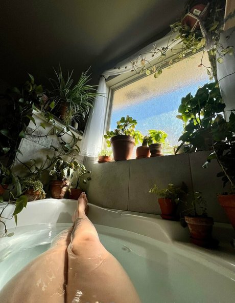 niceplanties beautiful star image