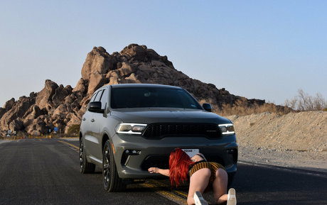 lyssaugust star perfect picture