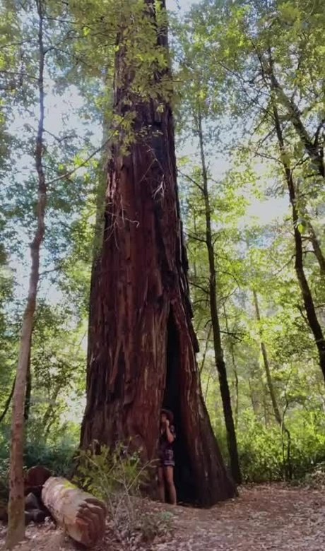 Jenners pornstar high quality img