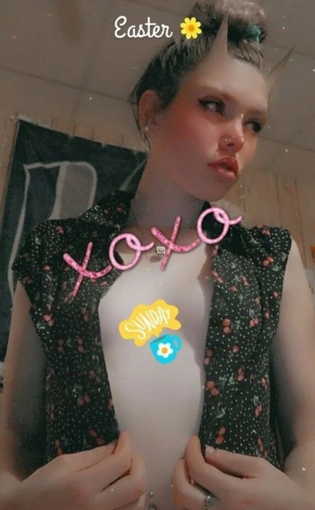 Dixicamo01 pornstar hd photos