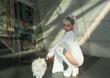 dollaryaoo model art gallery