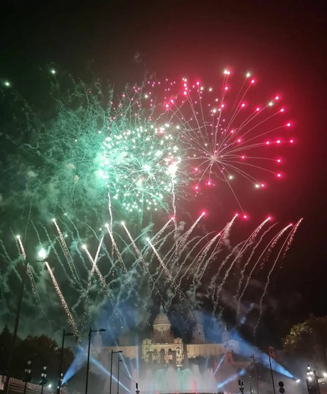 Ann Cygnus nice star gallery