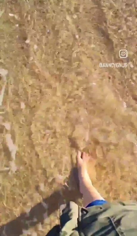 Ann Cygnus art pornstar picture