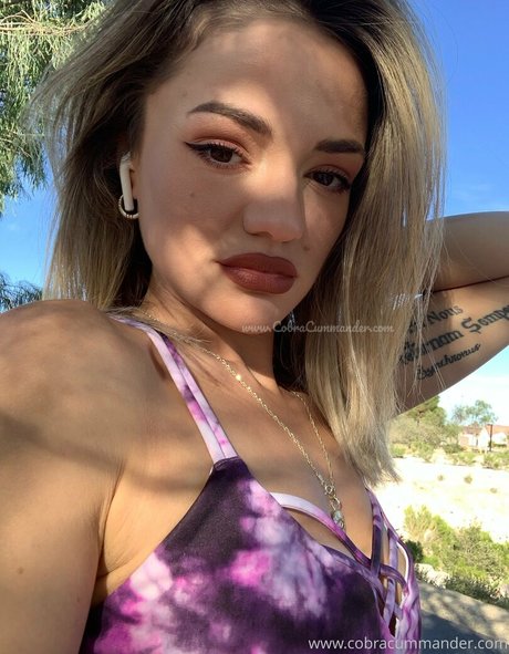 cobracummander art star images