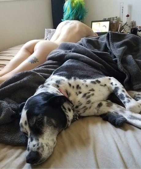 sweetfaebelle Profile pic