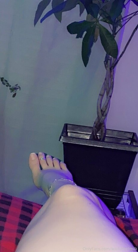 WaifuFeetMilk star perfect photo