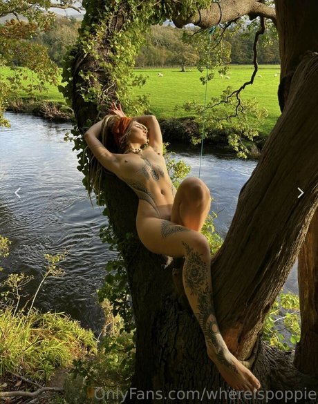 Poppie model nice img