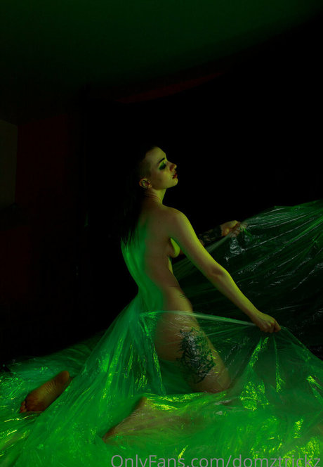 Domztrickz star adult picture