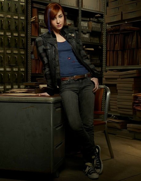 Allison Scagliotti star perfect picture