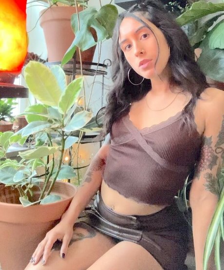 Lenamarisol star pornographic pics