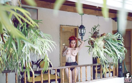 Fernanda Mercury pretty star pics