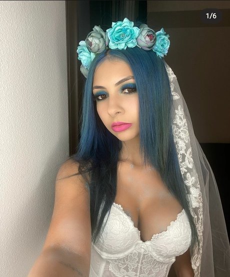 Dogluver007 star pretty images