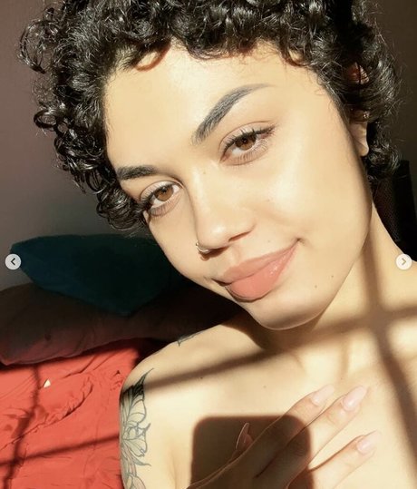 seekingsage top pornstar galleries