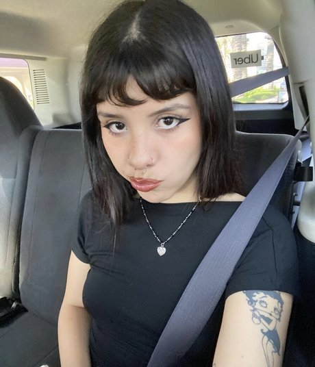 palechubs pornstar top galleries