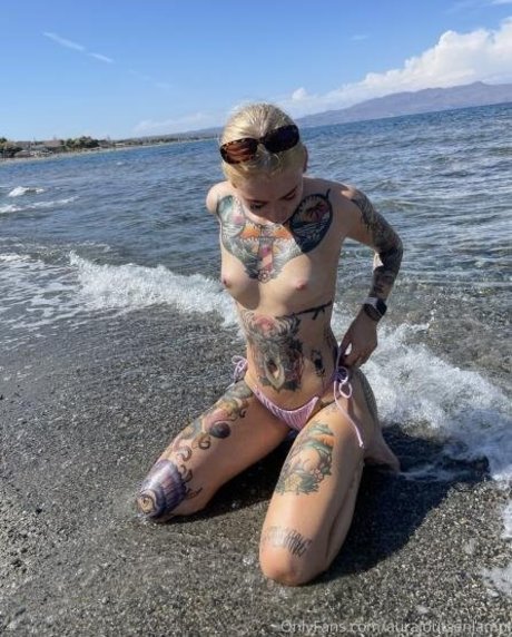 Aurajoutsenlampi model perfect galleries