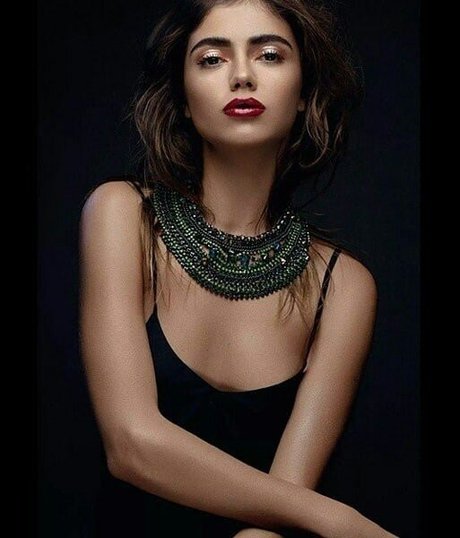 Arina Perchik free pornstar gallery