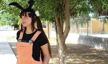 Hato Joestar hd star pic