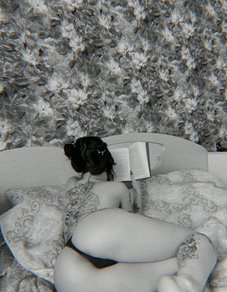 cutemeow star free photo