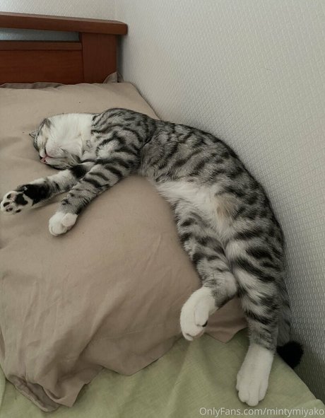 MintyMiyako model beautiful gallery