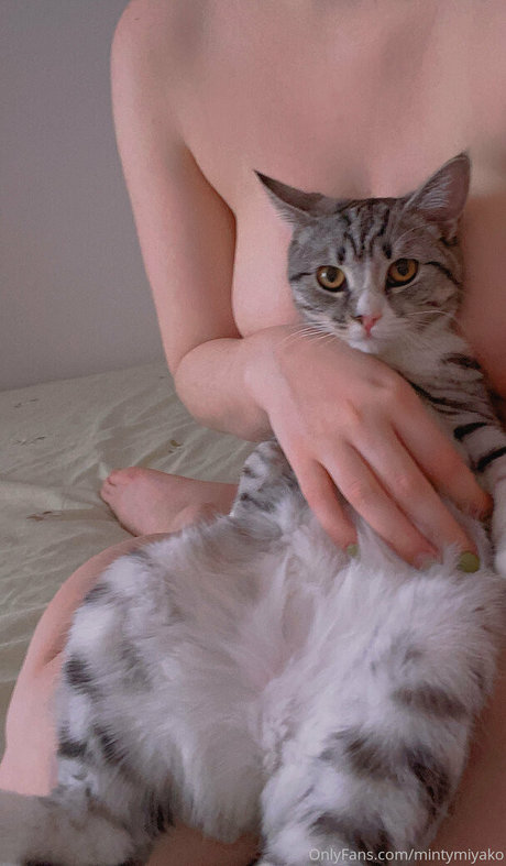 MintyMiyako erotic actress picture