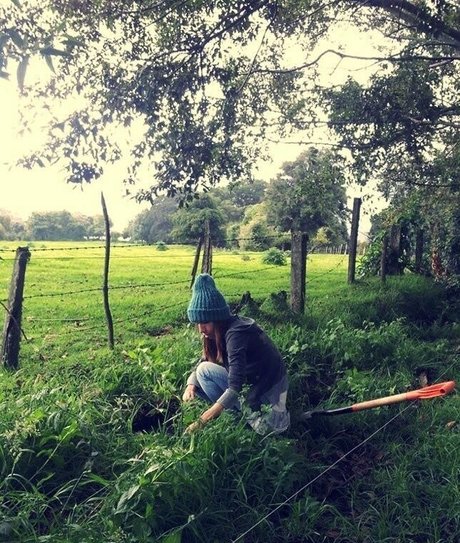 xxxcaligulaxxx nude pornstar galleries