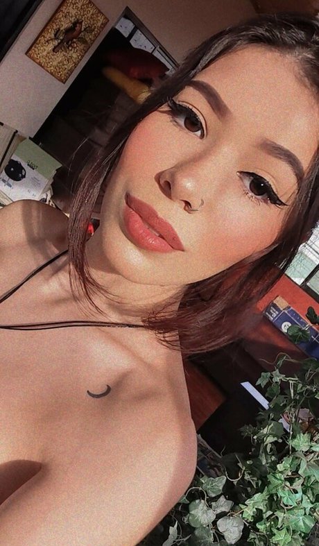 Anmongero exclusive star image