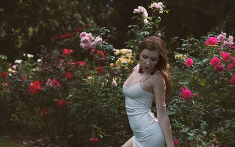 MeowSparky star hot archive