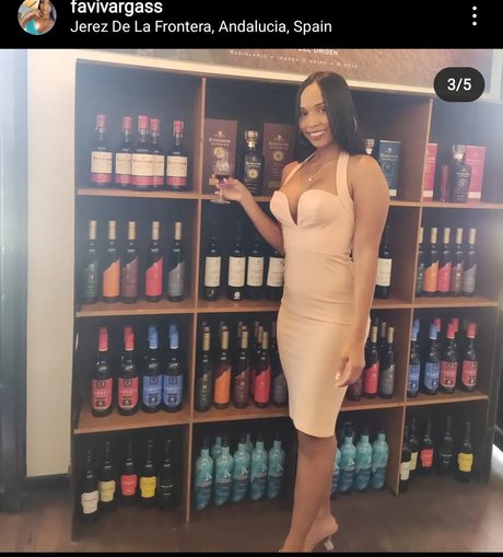 Faviola Vargas beautiful model images