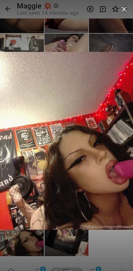 Signofthewolf perfect star archive