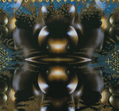 Felina Wood adult model images