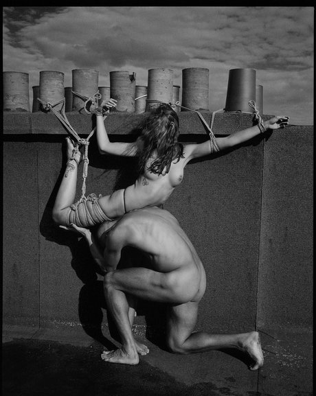 Cerise4444 high quality actress galleries