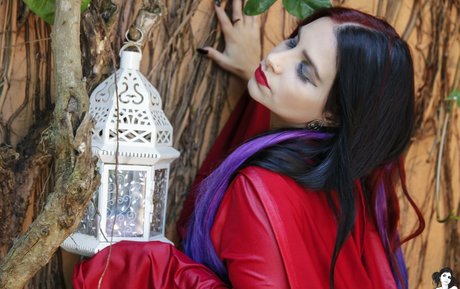 Lidryem Suicide sex star picture