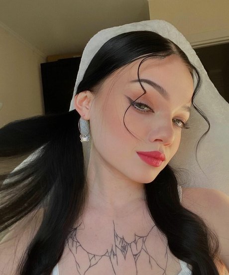 Stussy Montana top star images