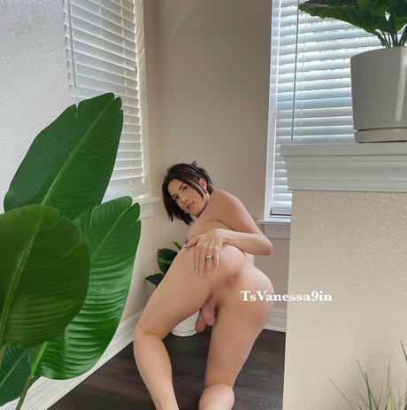 Vanessa9in nude pornstar image