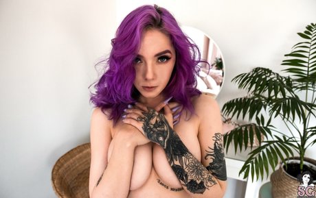 Aliceverner star pornographic pics