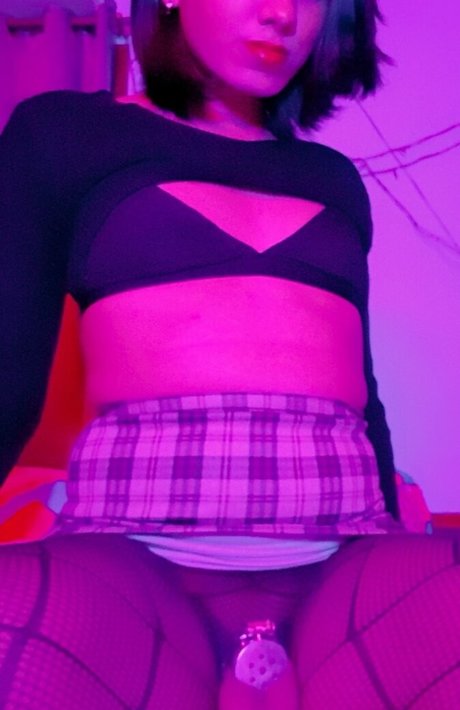 KwitTrap adult model pictures