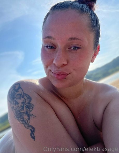 Sage Lux Sagelux high quality model img