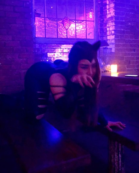 Dajin best star galleries