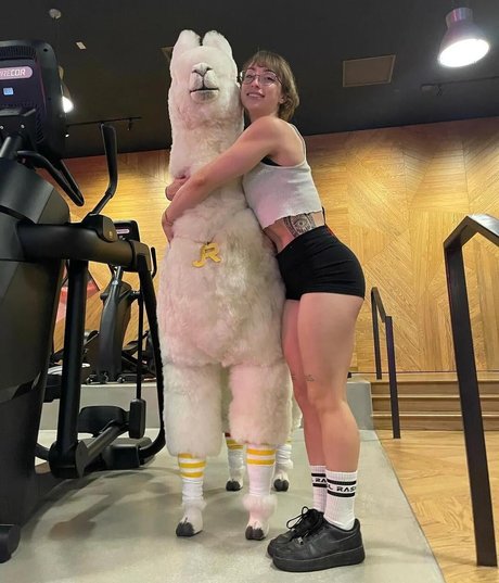 Lean Beef Patty model pretty image