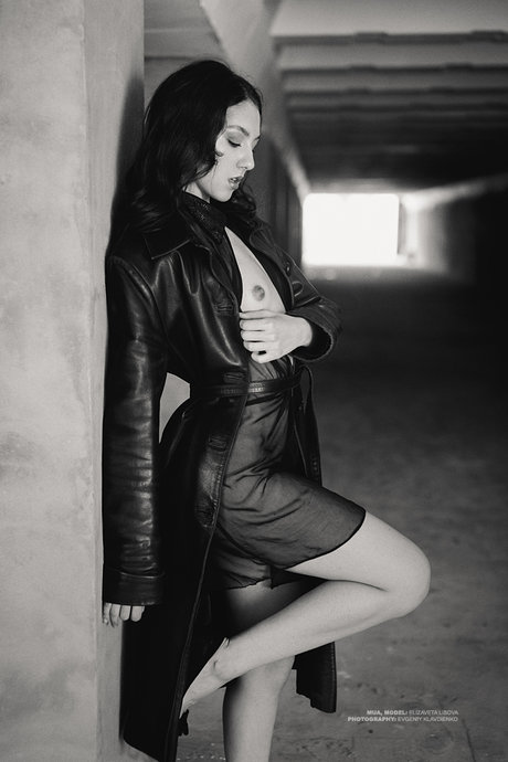 Elis nice star galleries