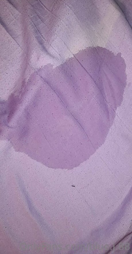 Blue J 88 model top photo