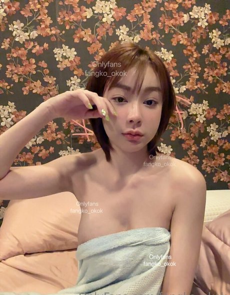 fangko okok star best gallery