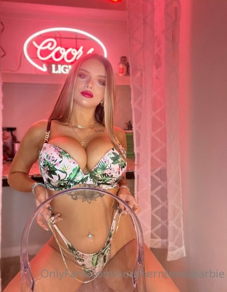 Southern Texas Barbie star art image