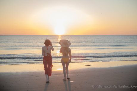 Gillian Foxglove art star archive